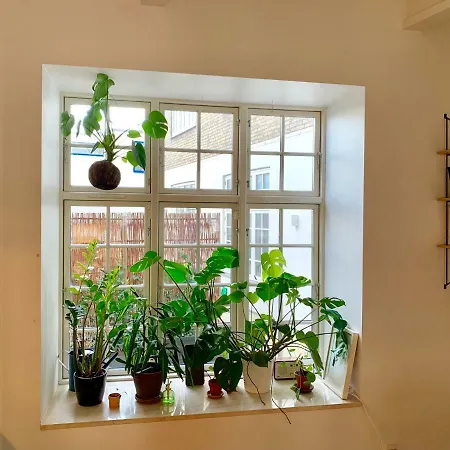 Appartement Stunning Loft In Central